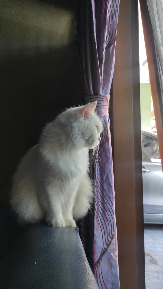 Hari Jumat waktu liat cwk cwk yang mau ke masjid 😻😽