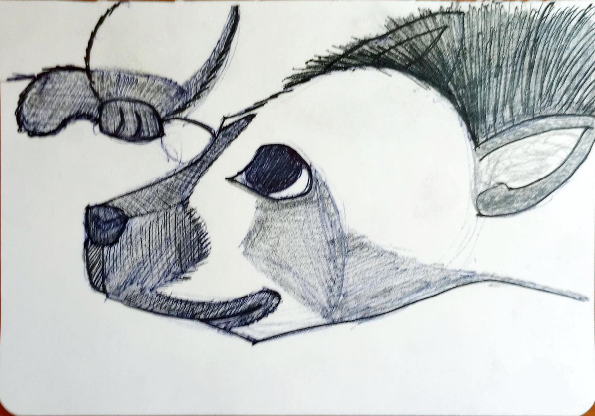 Fraser_Jay_Ryan's tweet photo. #furry #furryart #hyena #yeen #furryfandom #furrydrawing #furrycommmunity #doodle #doodling #doodleoftheday #sketching #sketch #skecthoftheday #lion #artist #twitterartist #artcommunity #artoftheday #drawing https://t.co/xkkhClU3v3