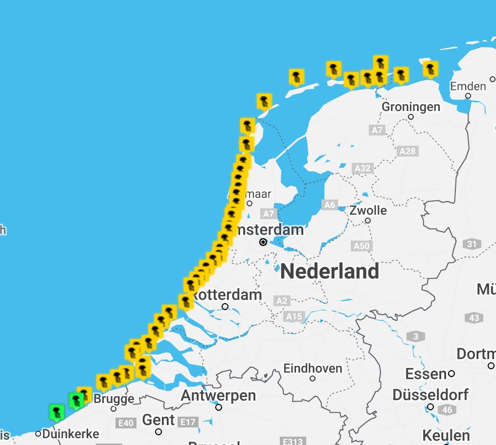 kwallenradar's tweet photo. Veel kans op kwallen vandaag aan het #strand https://t.co/jTwuXHrQK2