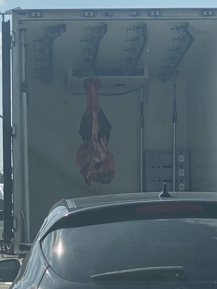 Bei uns an der Kreuzung steht ein lkw der einfach vergessen hat die Tür zu zu machen … wir haben 29 grad 🤢 hoffentlich wird das entsorgt 😭