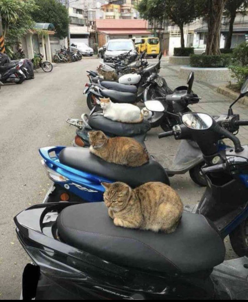 tufairies's tweet image. Ni ke geng #KamiXRamai #OnXOn