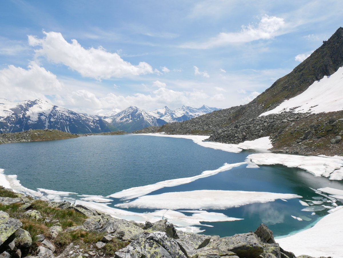 SPR_Survey's tweet photo. From the Alpine Convention Biodiversity Conference and ForumAlpinum in the Triglav National Park, Slovenia, and the high-altitude fieldwork in Alto Adige/Südtirol, Italy in June. https://t.co/kJblDp4NiY
