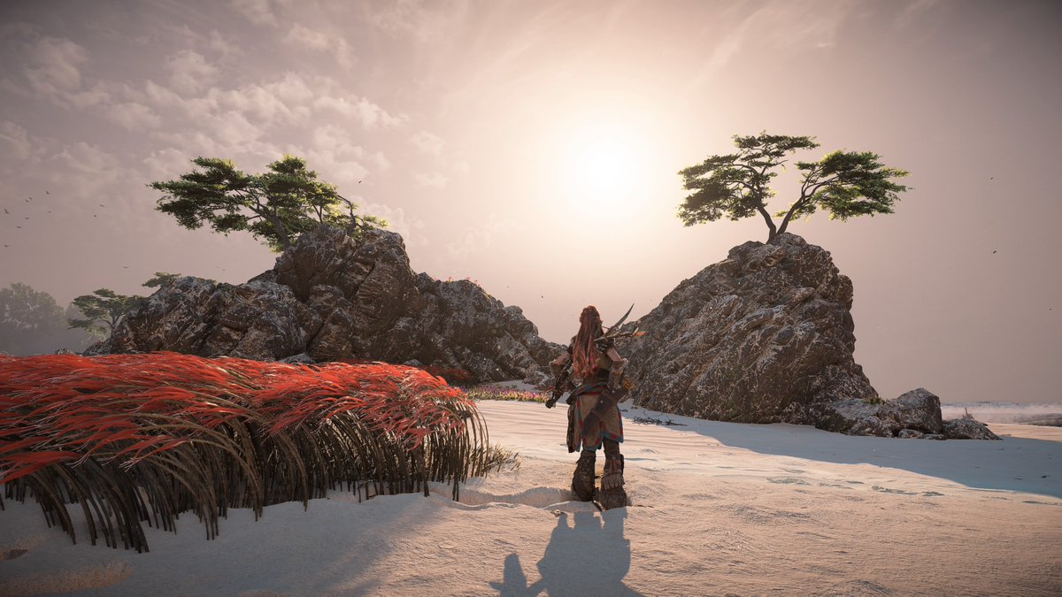 Coronal_Shadow's tweet photo. Beach life ποΈπ
#HorizonForbiddenWest #VirtualPh https://t.co/QNuQfd1GQ4
