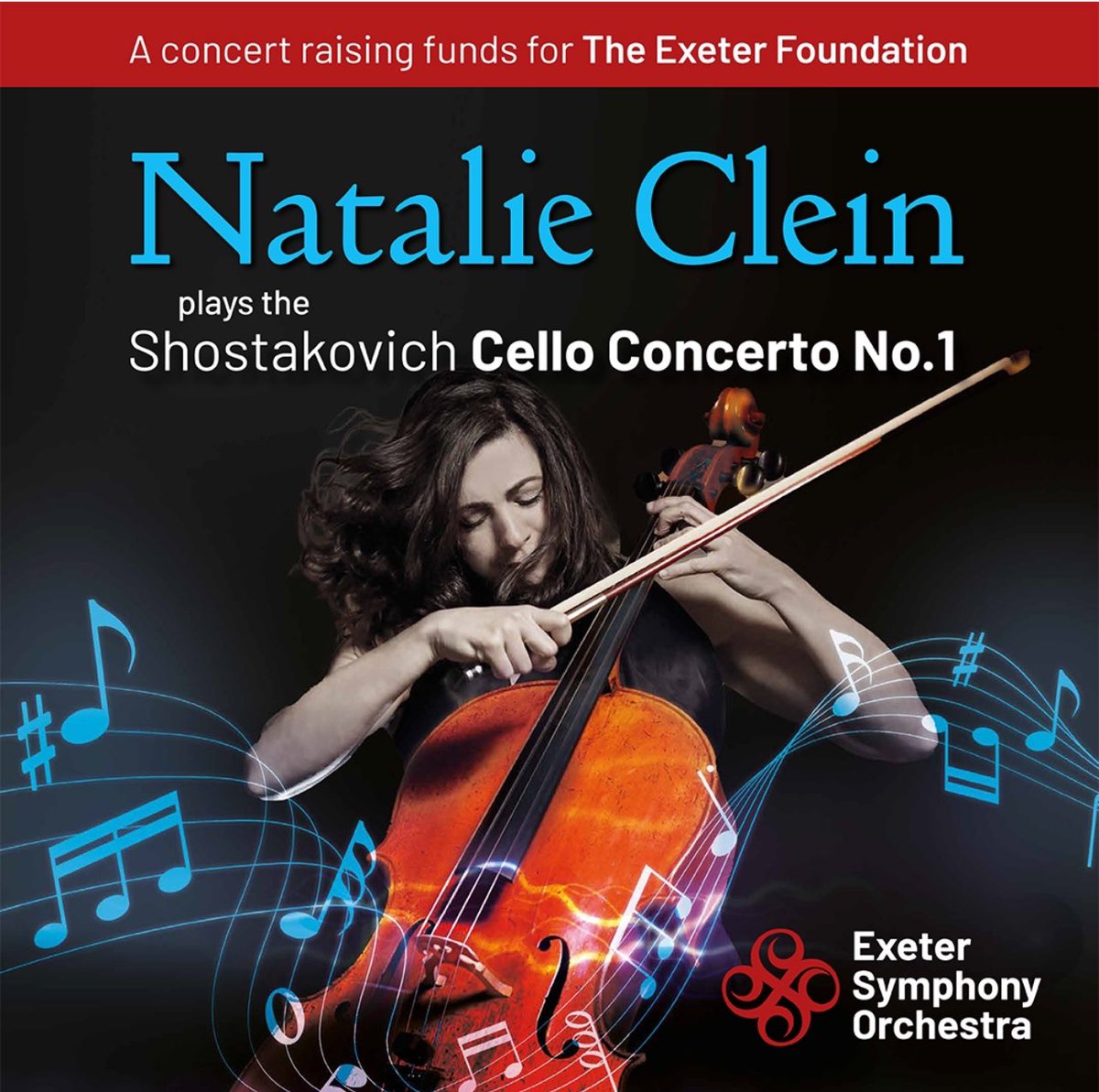 Exeter Symphony Orchestra tweet media