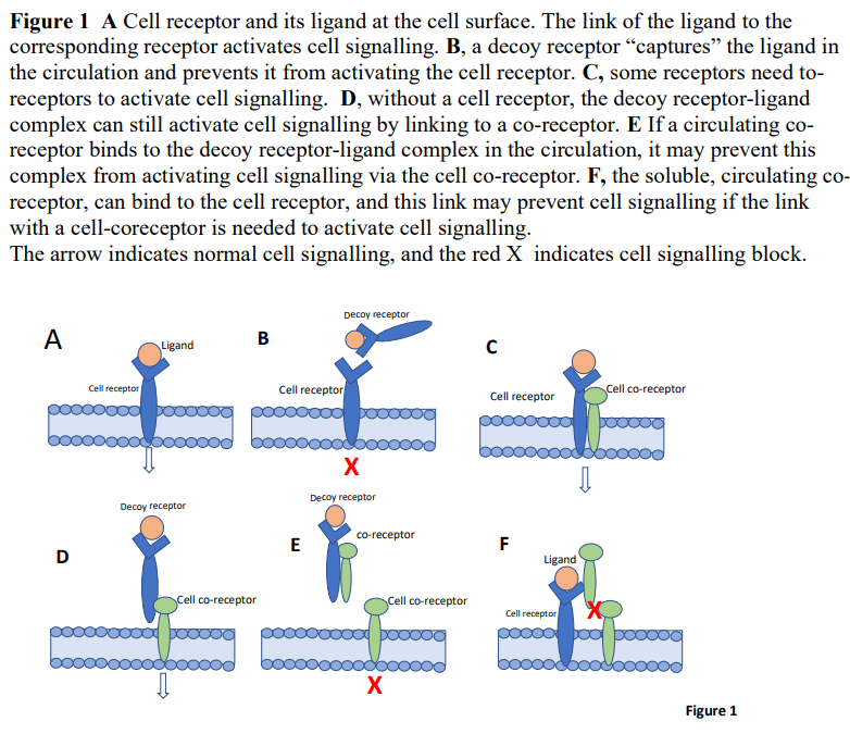 CKJsocial's tweet image. Decoy receptors as biomarkers for exploring aetiology and designing new therapies

doi.org/10.1093/ckj/sf…