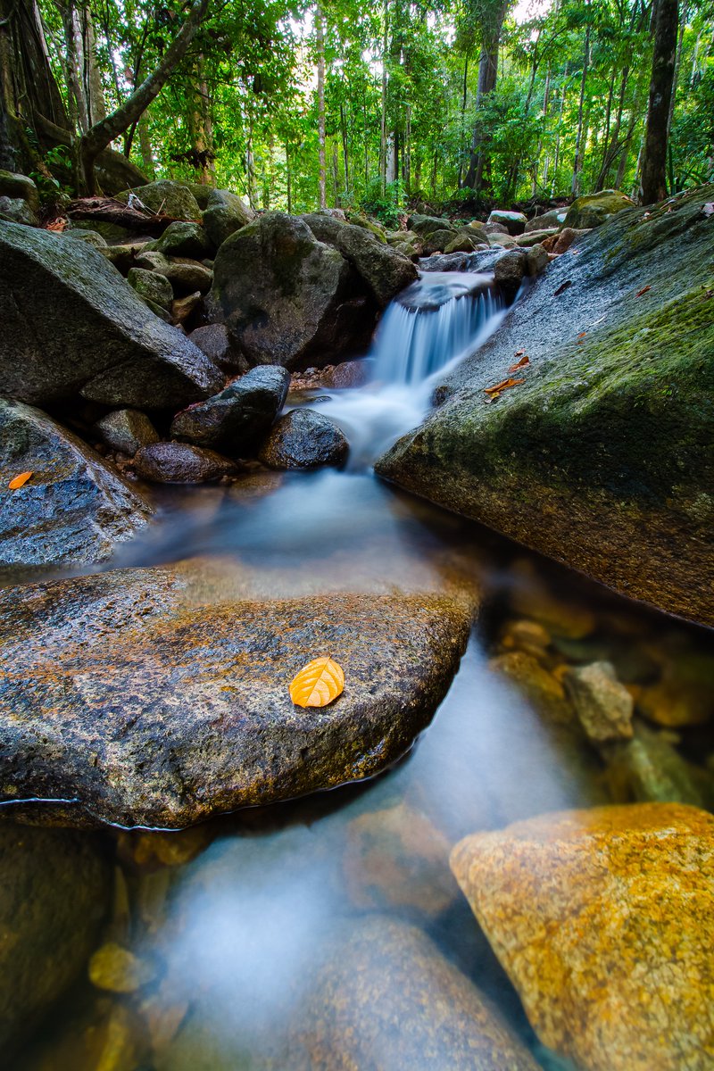 adult_xx_movies's tweet photo. @Naturephography
#FayeYoko #MUSE_OUT_TODAY #naturephoto #Rivers #forest #wallpaper #HDphoto https://t.co/eqwVii0MN1