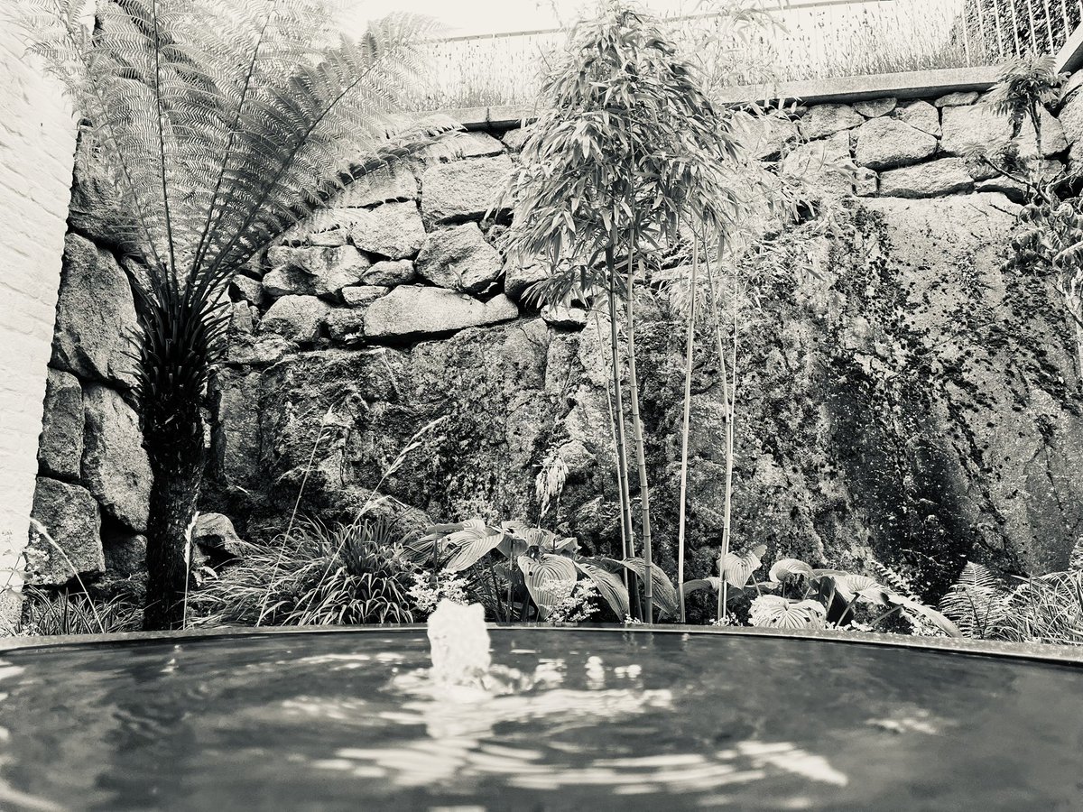 2 water features, 1 garden by the sea in dalky.
#dalky #waterfeatures #gardendesign 
#dublin