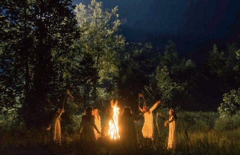 gilsuspenders's tweet photo. the world is healing https://t.co/aI1gyW1eWk