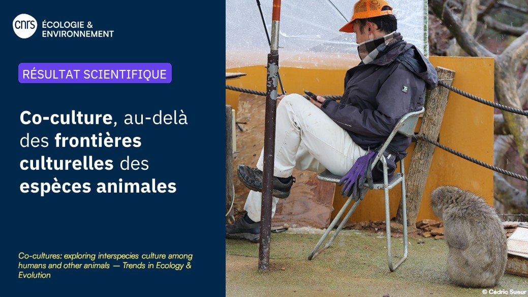 CNRS Écologie & Environnement tweet media