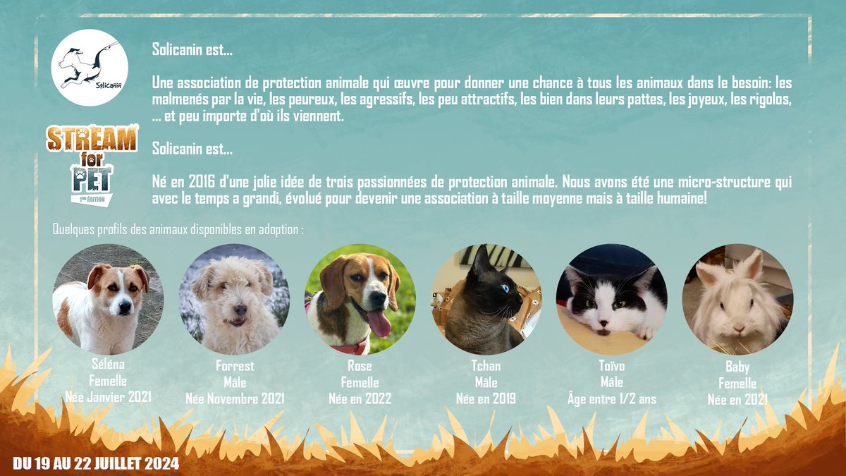 Sideroth93's tweet photo. C'est l'heure de l'EVENT #StreamforPet ! 🐴
Nous serons en live sur @Twitch pour aider les animaux dans le besoin pendant tout le weekend et ce jusqu'à lundi soir ! 🐶N'hésitez pas à passer sur les chaînes des streamers et à participer à l'évènement ! 🐱@solicanin @TwitchFR