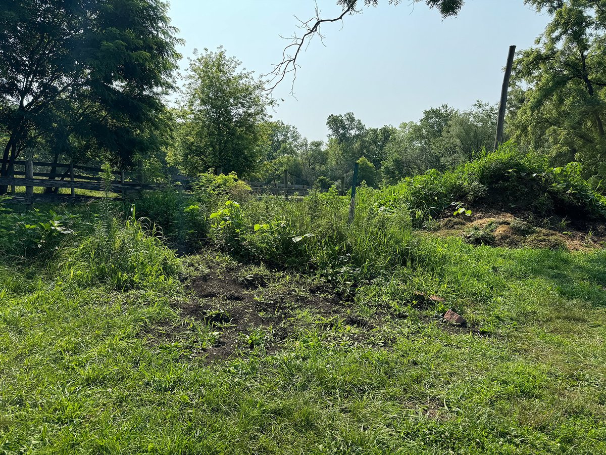 INXIntlUSA's tweet photo. The INX team is back at it with community outreach! This time, we cleared a plot of land to create a children's garden at Heritage Farm, a local farm that offers visitors a glimpse into life in the 1880s. We even helped wrangle some cows!
#INXInk #INXCares https://t.co/xtQNxWDE14