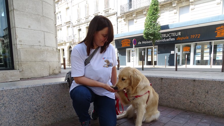 Vetitude's tweet photo. #SSPT : "Militaires et pompiers donnent tout pour la société, à nous de leur renvoyer l’ascenseur": les chiens d’assistance, rempart contre le stress post-traumatique
https://t.co/ALw49ddPlQ https://t.co/0q3k8wf9Uu