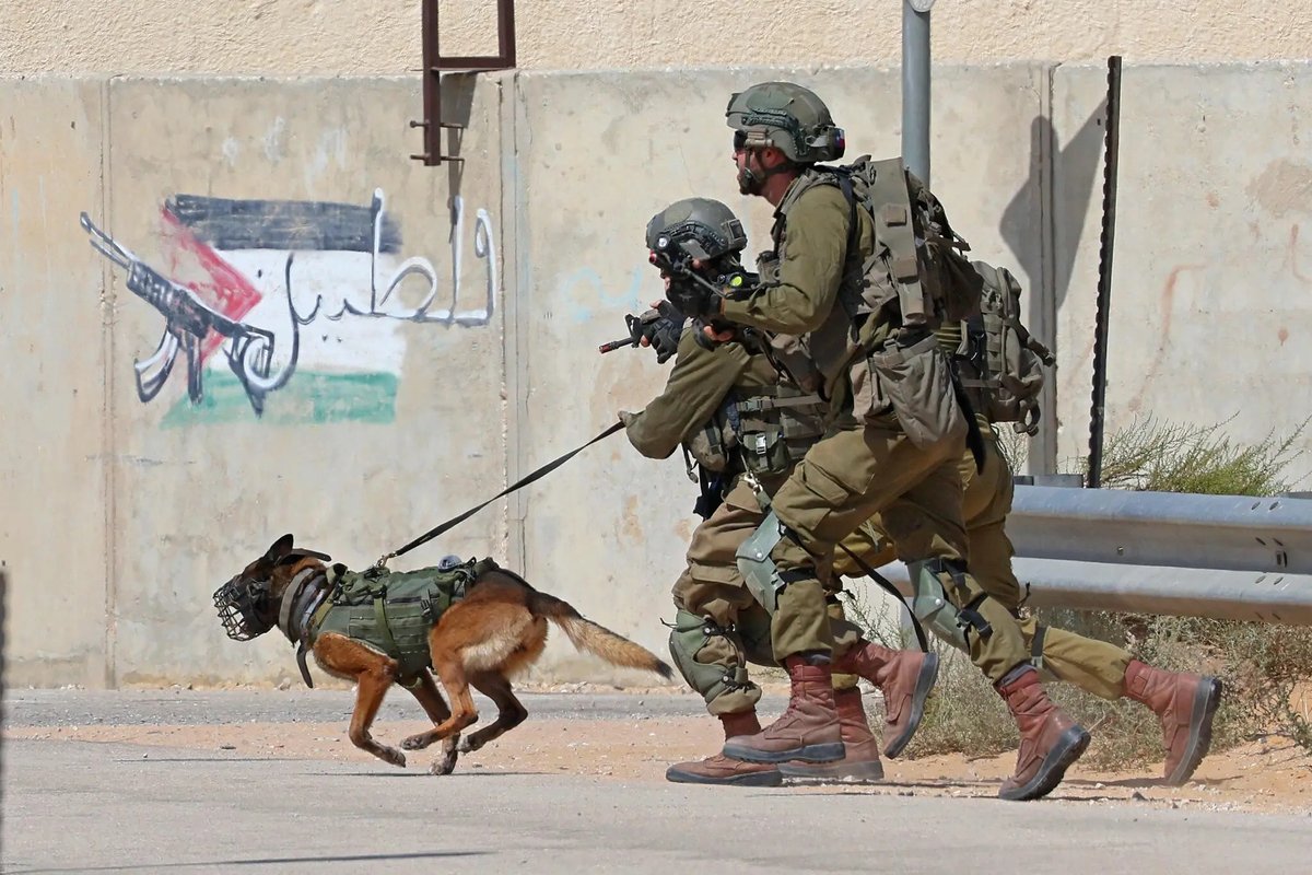 acikradyo's tweet photo. GÜNÜN SÖZÜ

"Hadi bırak canım! (Halâs ya habibi!)"

İsrail ordusunun, güvenli ilan ettiği Gazze şehrindeki evinde üzerine ordu köpeğini saldırtıp parçalattığı 24 yaşındaki Down sendromlu Muhammed Bhar'ın, ısıran köpeğe hitaben söylediği bu kelimeler, ailesinin ömrü boyunca ondan duyduğu ilk ve son sözler oldu. (Democracy Now!)