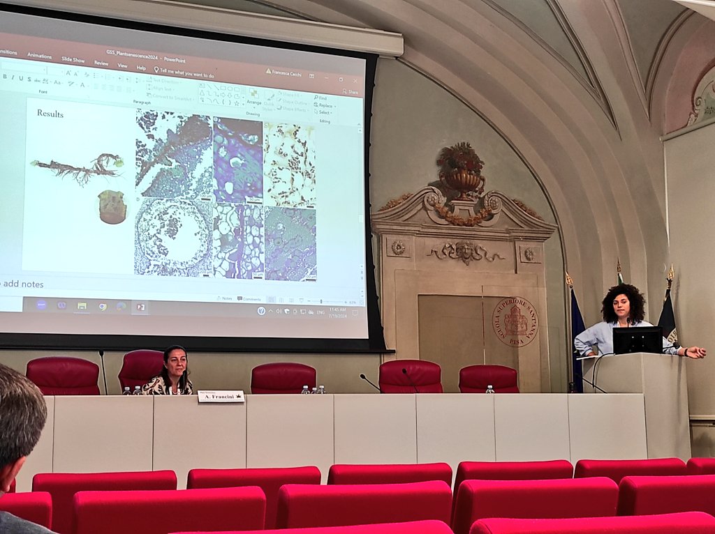 gabotanic_'s tweet photo. It was a great opportunity to talk about the results we're starting to get about the #anatomy of rhizomes senescence. @ExFuMo1 

#plantsenescence2024 https://t.co/kmjsHkForQ