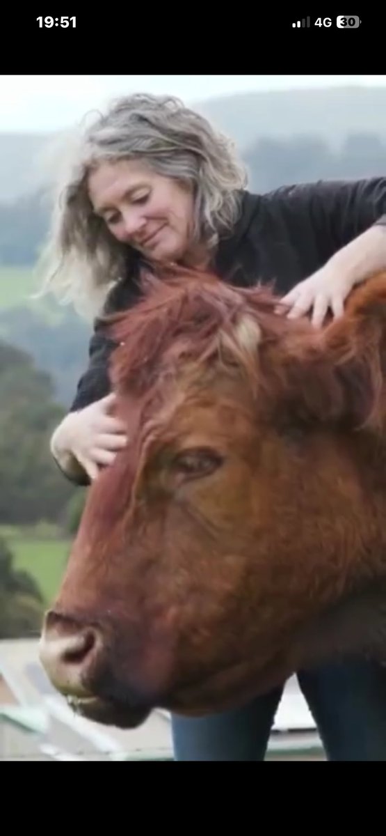 julesb28's tweet photo. @NothingIsArt @GeorginaMangan4 The incredible Emma Haswell from Brightside Farm Sanctuary Tasmania features in the video 🤩 🤍🧡🤍🧡 https://t.co/0xFnfxN6Nf