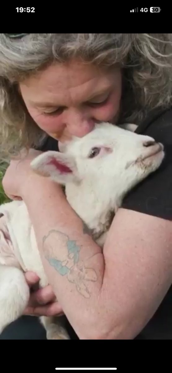julesb28's tweet photo. @NothingIsArt @GeorginaMangan4 The incredible Emma Haswell from Brightside Farm Sanctuary Tasmania features in the video 🤩 🤍🧡🤍🧡 https://t.co/0xFnfxN6Nf
