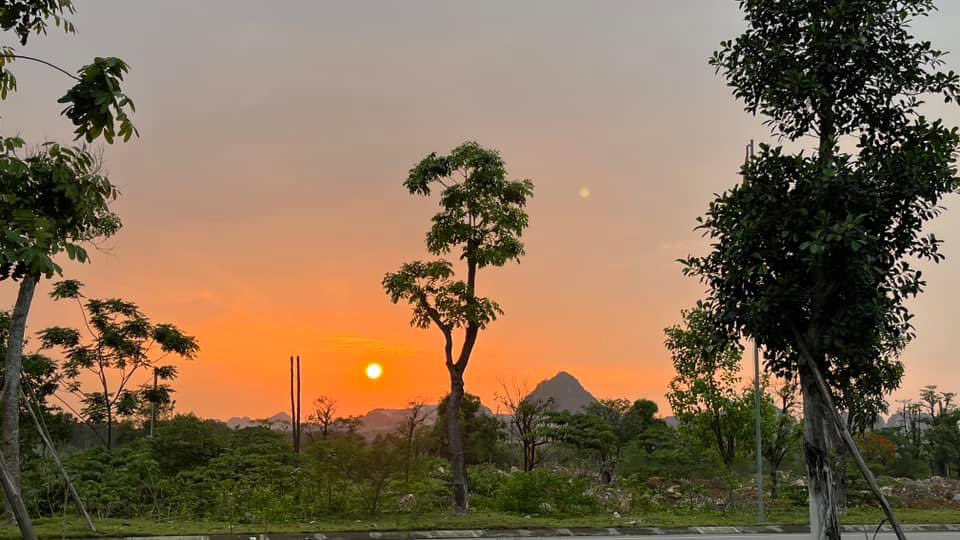 The animals tweet media