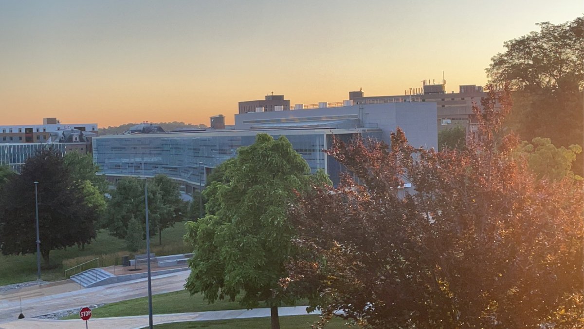 MMirskiy's tweet photo. 6:00am at Newhouse https://t.co/B09RJawcPO