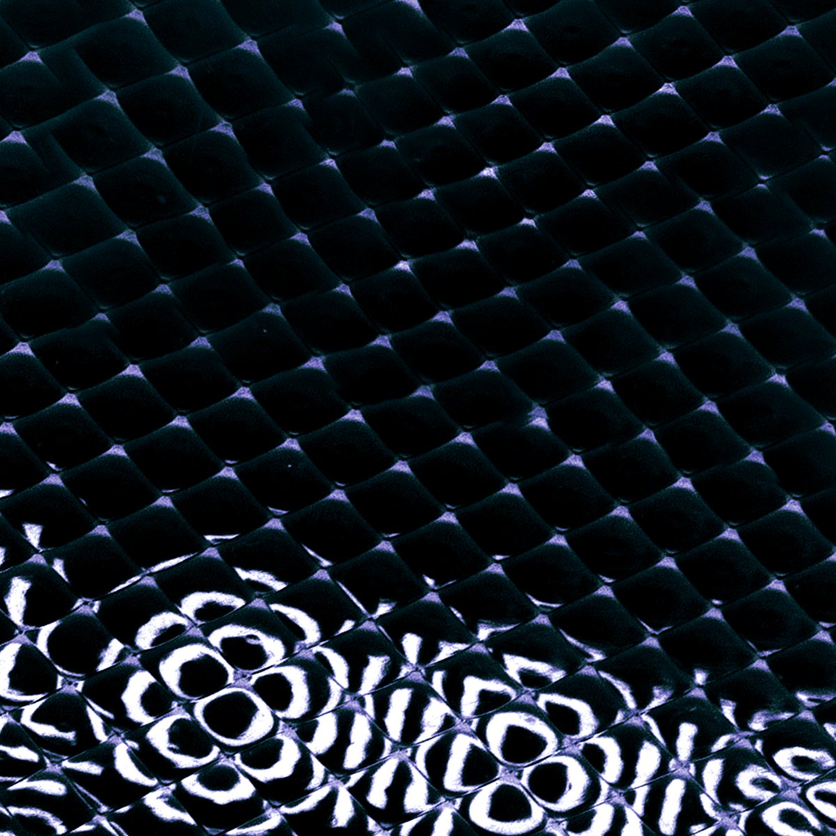 huerco_s's tweet photo. new Loidis single 'Dollarama' out now ahead of the album
https://t.co/PcjxAb3m6u https://t.co/JPqZp3nMqk