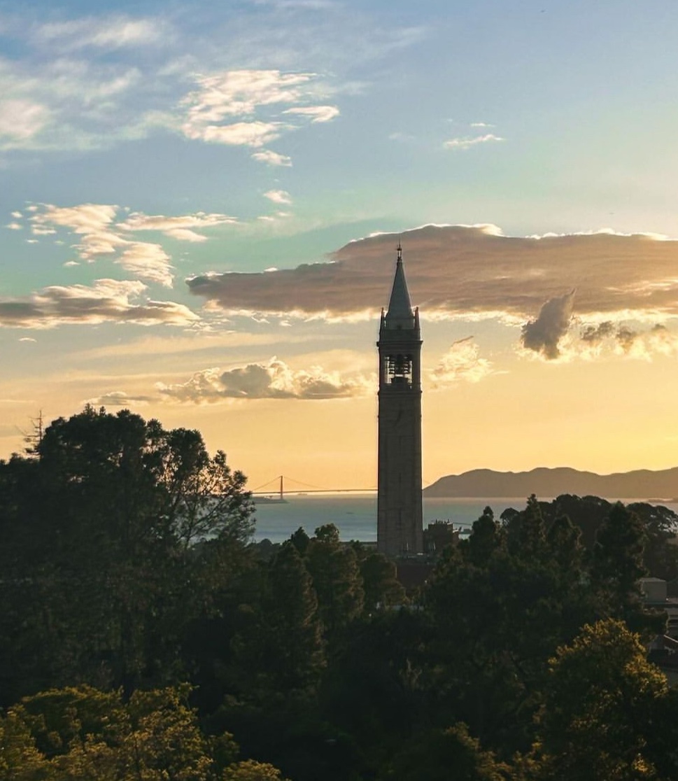 Very exciting news! I'm hiring a postdoc (Assistant/Associate Project Scientist) to work on AI and whales <a href="/ProjectCETI/">Project CETI</a> <a href="/UCBerkeley/">UC Berkeley</a> 🐳

We're a very interdisciplinary lab, as shown by this requirement: 

- PhD in linguistics, cognitive science, psychology, CS, marine biology, or