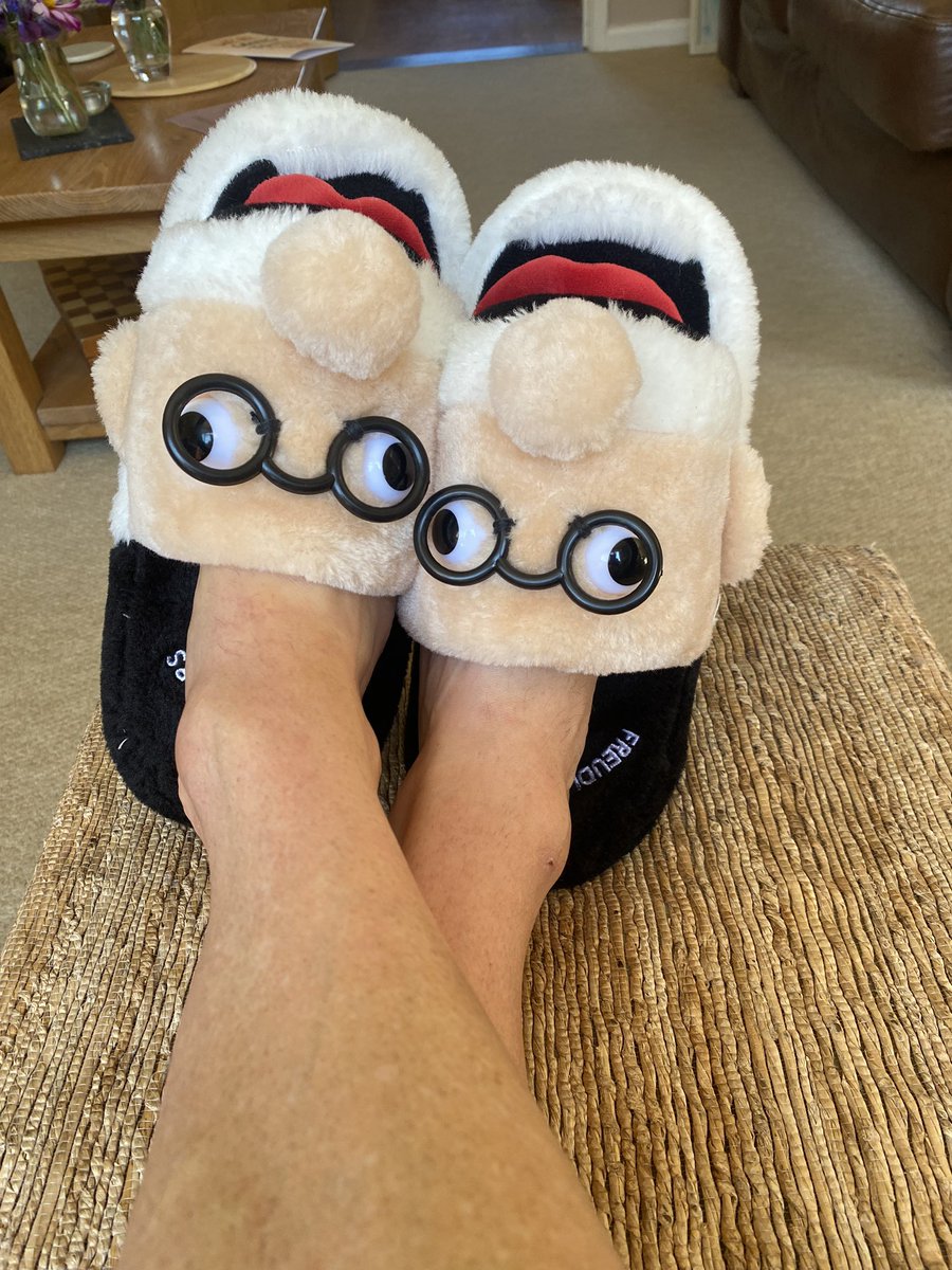 What a wonderful gift from my student trainees. Freudian slippers. Now I can really put my foot in it (not my original joke, but too good not to repeat!).