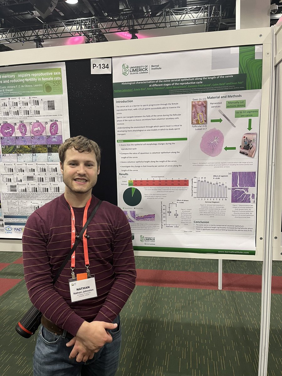KaitlynWeldon98's tweet photo. Fantastic time representing all the research ongoing in our lab at SSR annual meeting. 
Nathan and I presented a poster on our work and @seanfair2 spoke all things sheep and how sperm transport across the cervix is different between Norwegian and Irish sheep breeds🐑
#SSR2024 https://t.co/U5sXCM4pMm