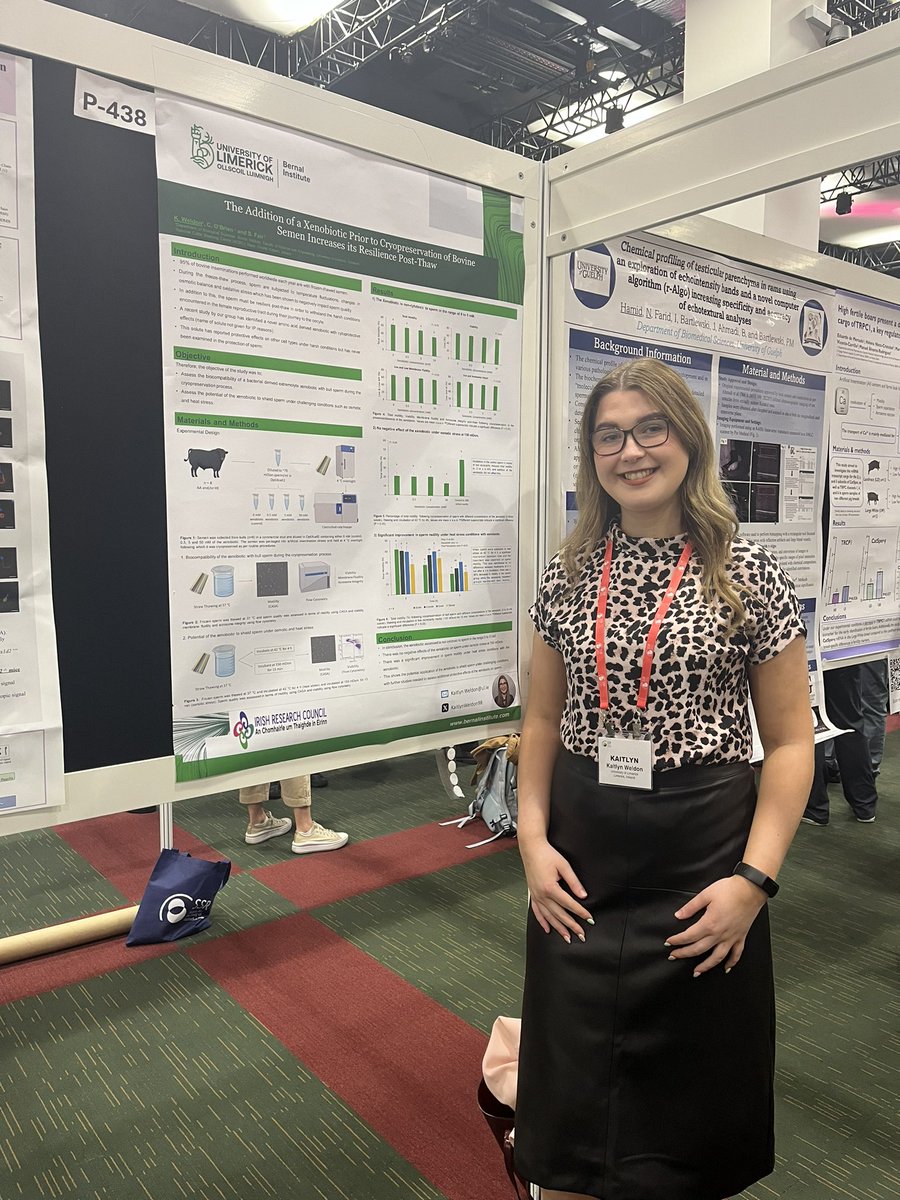 KaitlynWeldon98's tweet photo. Fantastic time representing all the research ongoing in our lab at SSR annual meeting. 
Nathan and I presented a poster on our work and @seanfair2 spoke all things sheep and how sperm transport across the cervix is different between Norwegian and Irish sheep breeds🐑
#SSR2024 https://t.co/U5sXCM4pMm