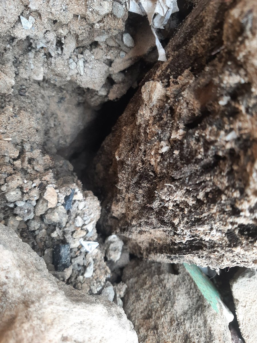 OmarTine1's tweet photo. Les récentes pluies ont mis en évidence que le poteau était cassé à la base. Du reste, il apparaît clairement que la base du poteau subit une détérioration qui fragilise la stabilité du poteau. Je rappelle que ce poteau surplombe une rue très fréquentée notamment par des gamins https://t.co/uSJG0iKryT