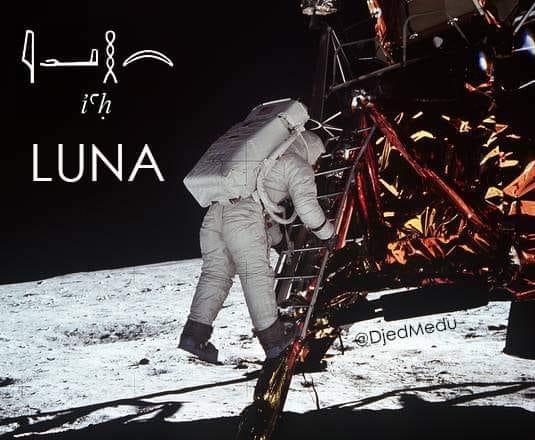 #AccaddeOggi + #GeroglificoDelGiorno
Il 20 luglio 1969 l'Apollo XI atterrava sulla #LUNA, in egiziano "iaH"