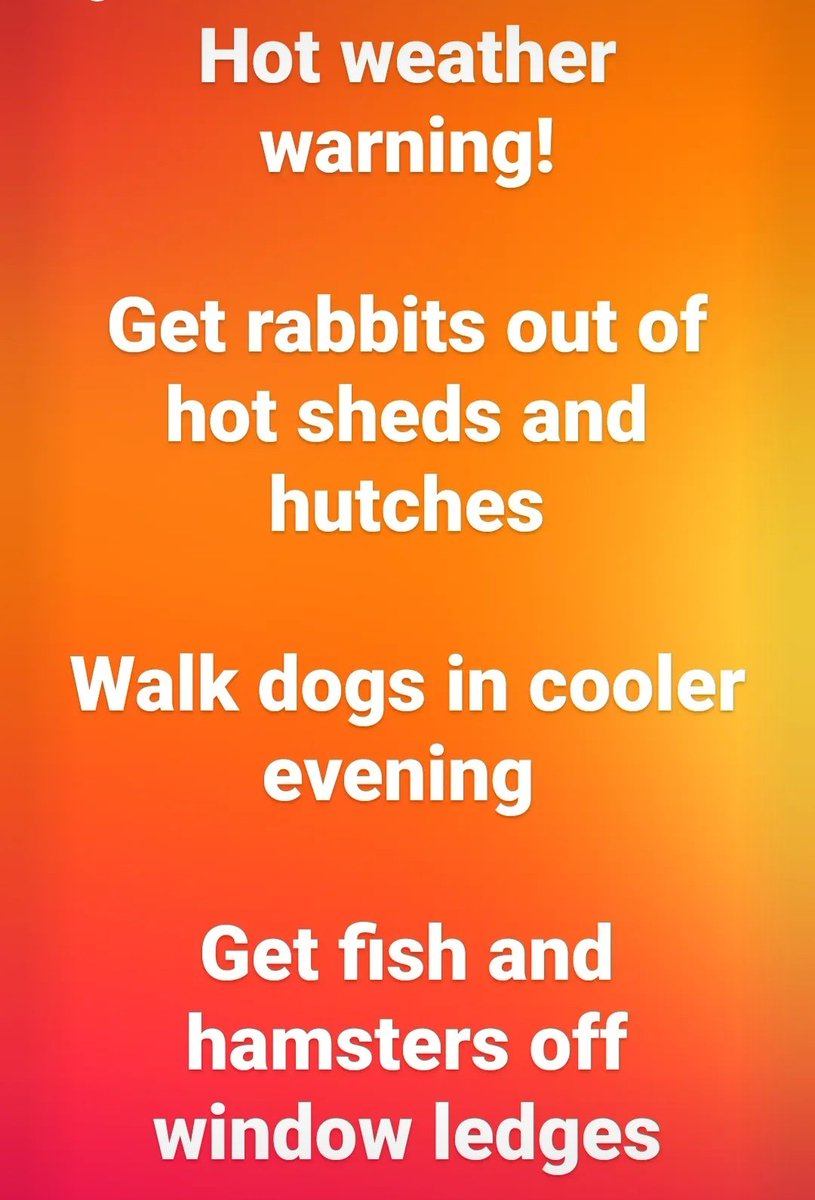 Animal Rescue & Care tweet media