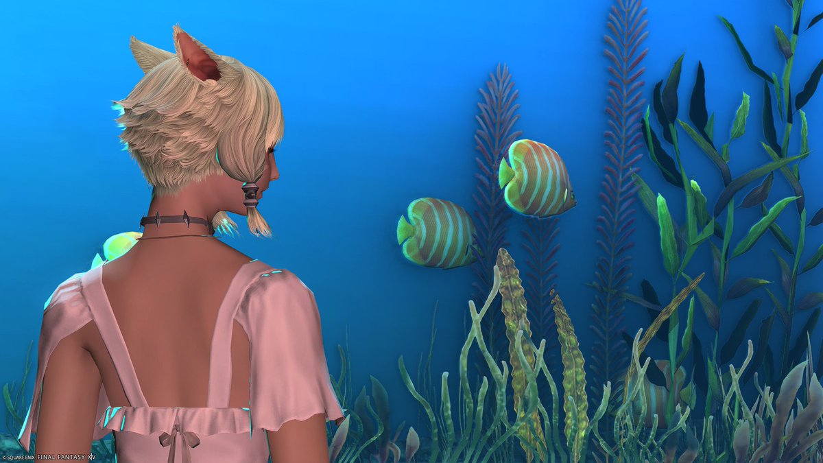 PomFFxiv's tweet image. A favorite thing 
 #FFXIV #ffxivss #ffxivgpose #GPOSERS