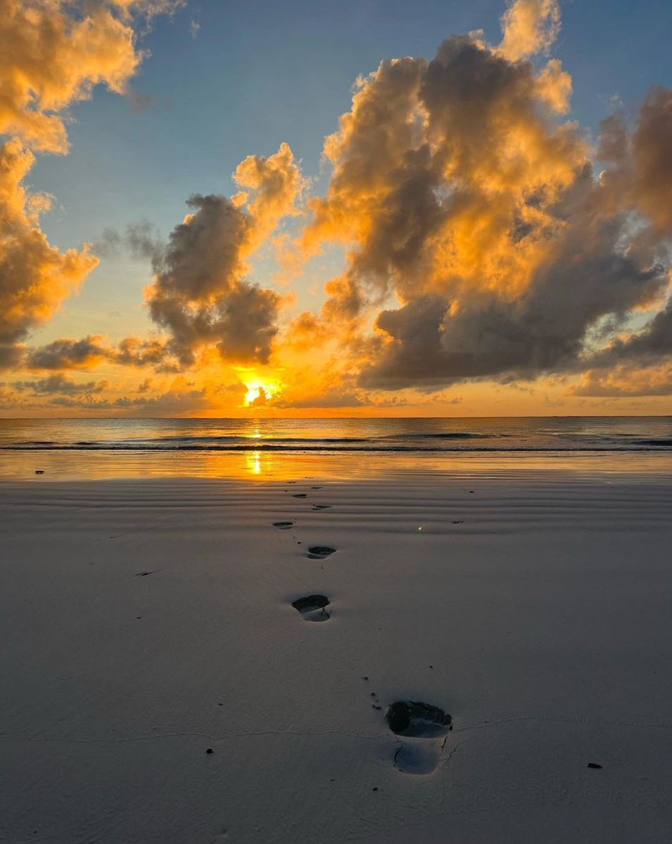 "May you take time to celebrate the small miracles that seek no attention." 
- John O'Donohue