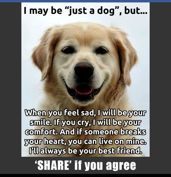 _XDogs's tweet photo. https://t.co/VeH3jWeUmR
