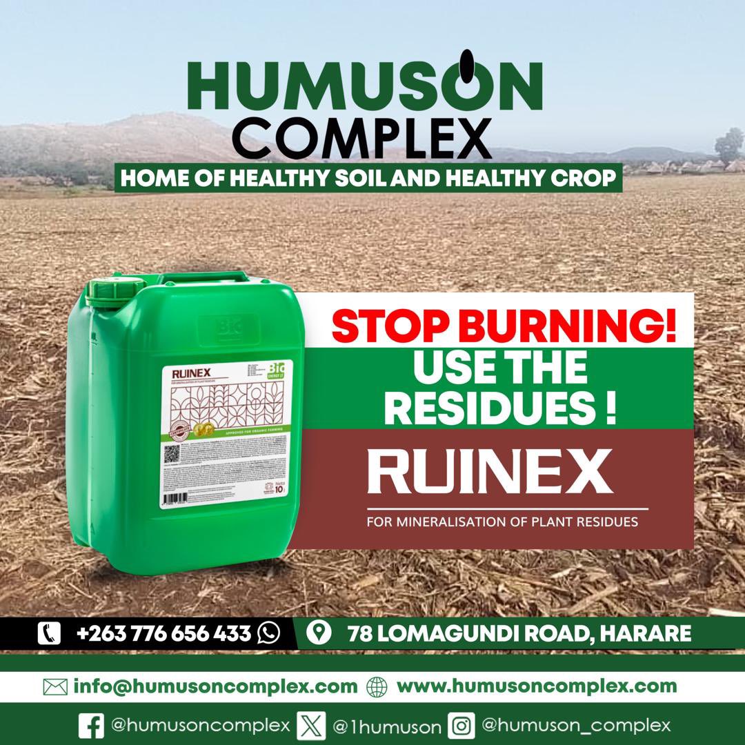 HumusOn#1 tweet media