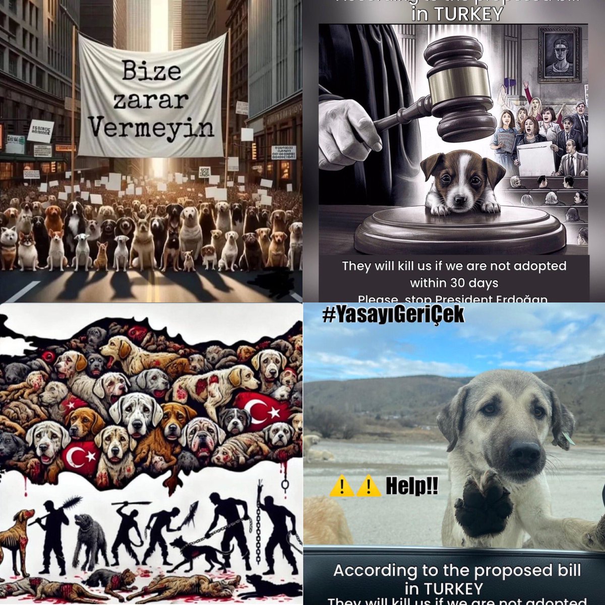The battle for animal rights in Turkey is a battle for human rights as well. Don’t let President demonise &amp; slaughter hundreds of thousands of street dogs #Turkey