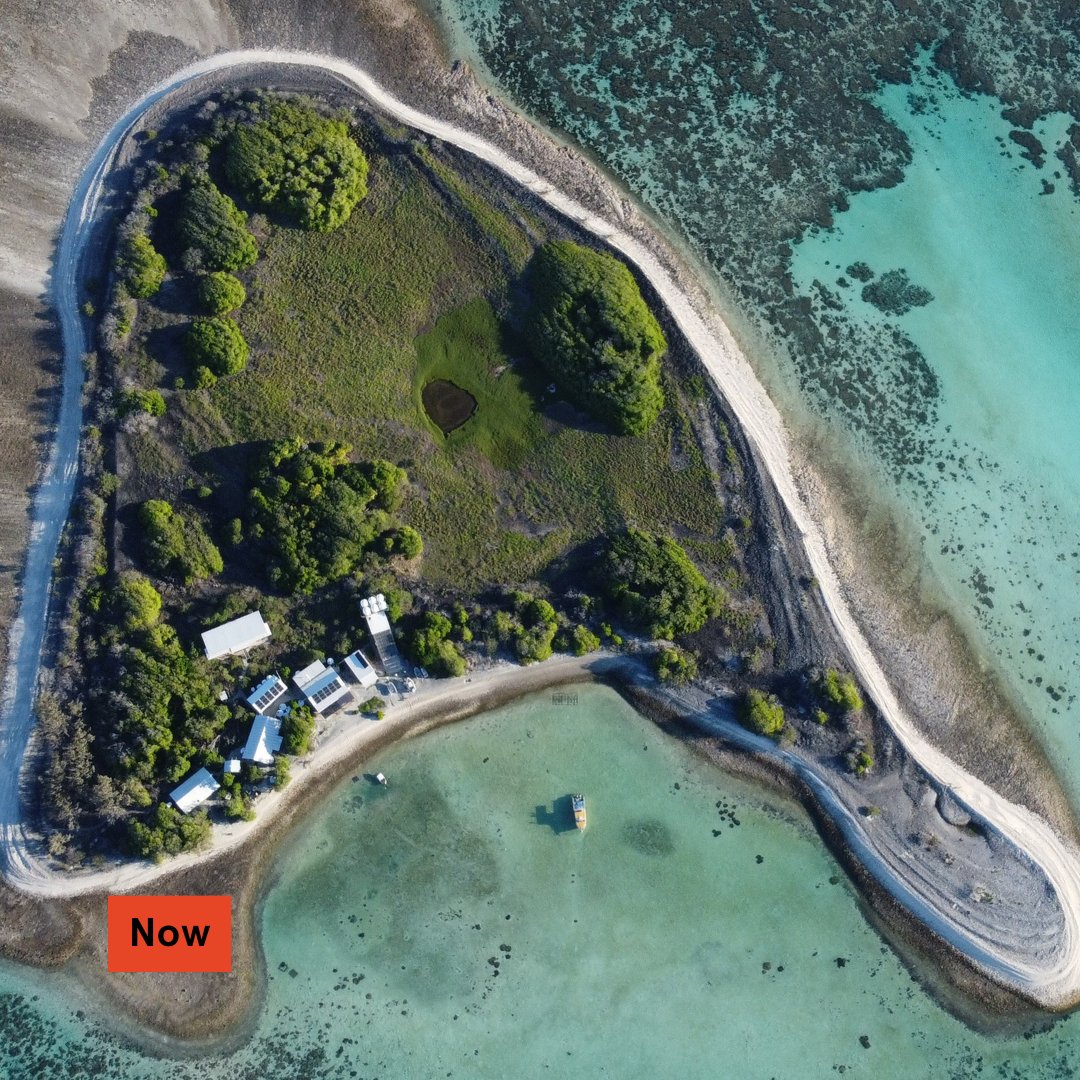 Sydney Science (@sydney_science) on Twitter photo Flashback to over 40 years ago on <a href="/OneTreeIslandRS/">One Tree Island Research Station</a> 📸
What is your favourite Island memory?🏝️
Images courtesy University Archives (REF-00002743)
#50yrsofMarineScience #OneTreeIsland #MarineScience #USYD #USYDArchives Flashback to over 40 years ago on <a href="/OneTreeIslandRS/">One Tree Island Research Station</a> 📸
What is your favourite Island memory?🏝️
Images courtesy University Archives (REF-00002743)
#50yrsofMarineScience #OneTreeIsland #MarineScience #USYD #USYDArchives