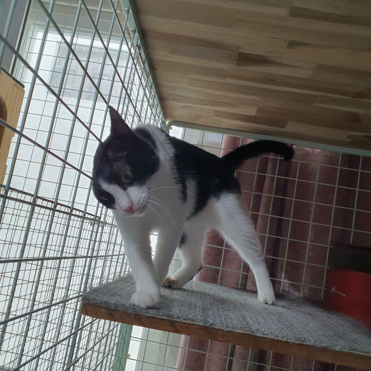 Roxy_help tweet picture