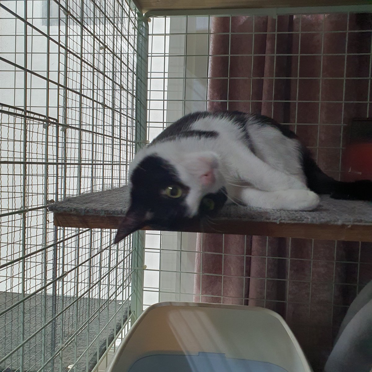 Roxy_help tweet picture