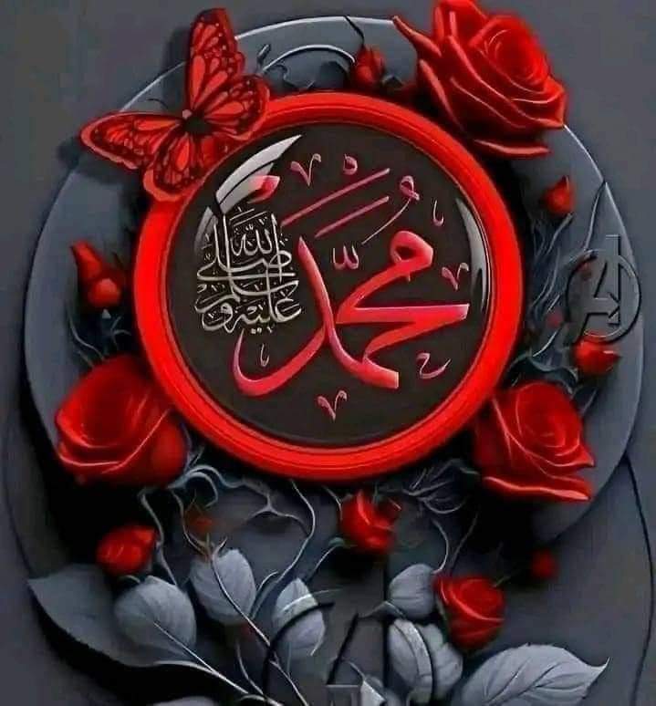 صــــلوا على الحبيب محمد،ﷺ ❤