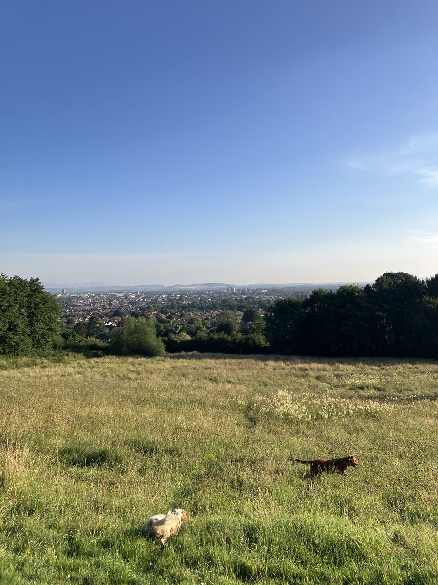 Amy Read (@amyreadmicro) on Twitter photo Good morning Gloucester. Happy Friday! Running the dogs before the heat picks up! Have a great day lovelies β€οΈ Good morning Gloucester. Happy Friday! Running the dogs before the heat picks up! Have a great day lovelies β€οΈ