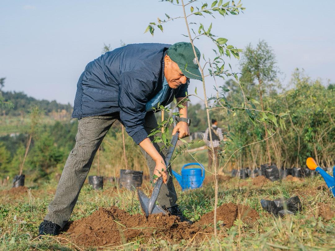 AbiyAhmedAli's tweet photo. “A nation that plants; a generation that sustains” 

I call upon all to continue being a part of this year’s #GreenLegacy. https://t.co/8aRB7JrseF