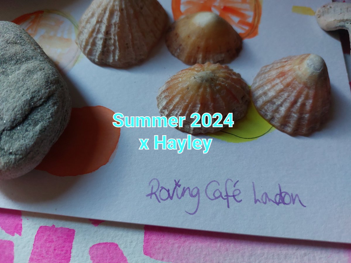 Sea shells from beautiful Northumberland .. a bientôt  Alnwick  x Hayley