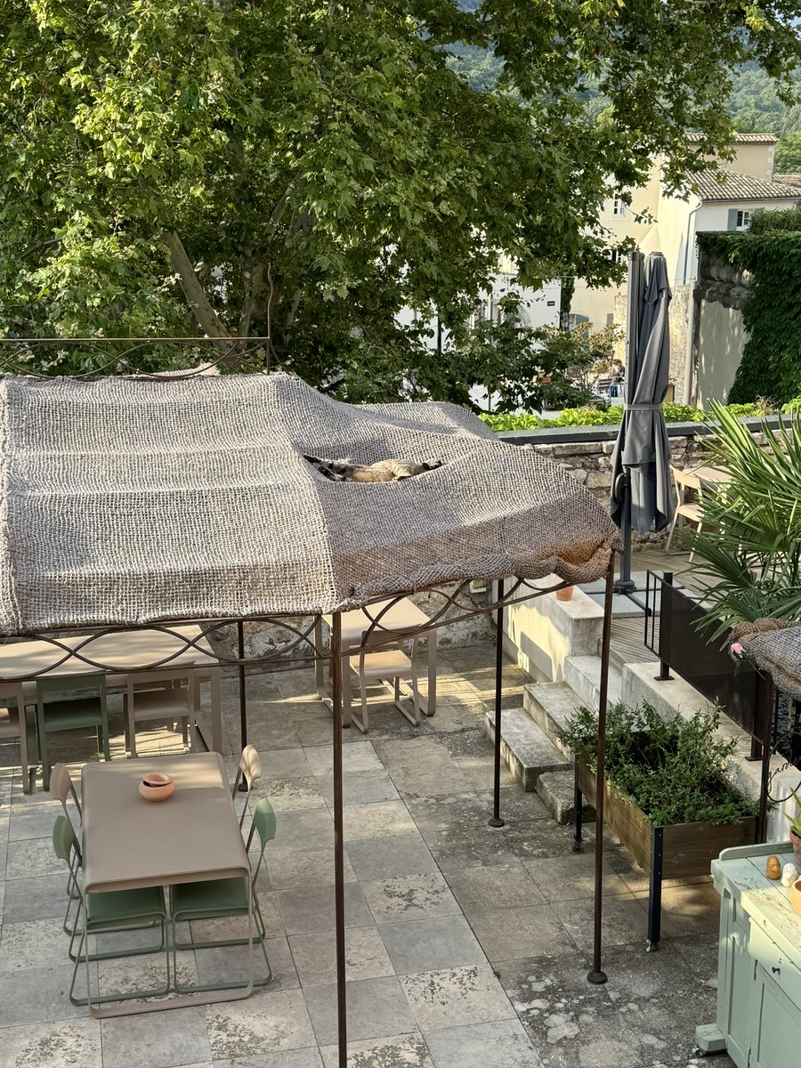 Lesp’titspoilus🐾 tweet media