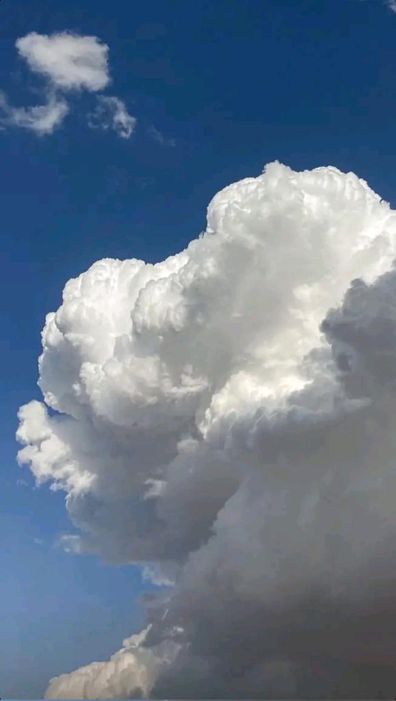 YousefA64314756's tweet photo. nephophilia ☁️💕 https://t.co/5JuRlPI8qU