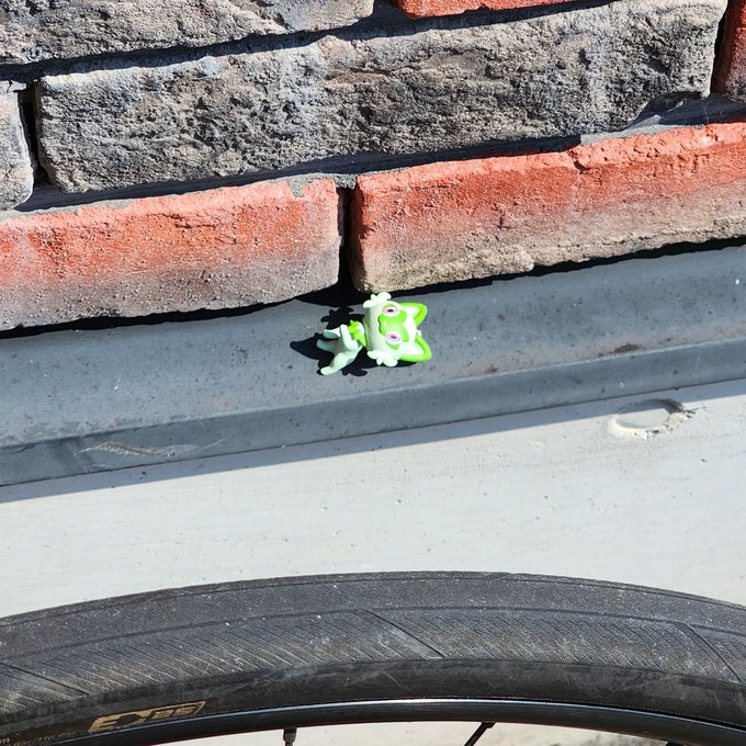 どうしたニャオハ、はぐれちゃったのか?
トレーナーさん迎えに来てくれるといいな
お外暑いから気を付けるんだぞ 