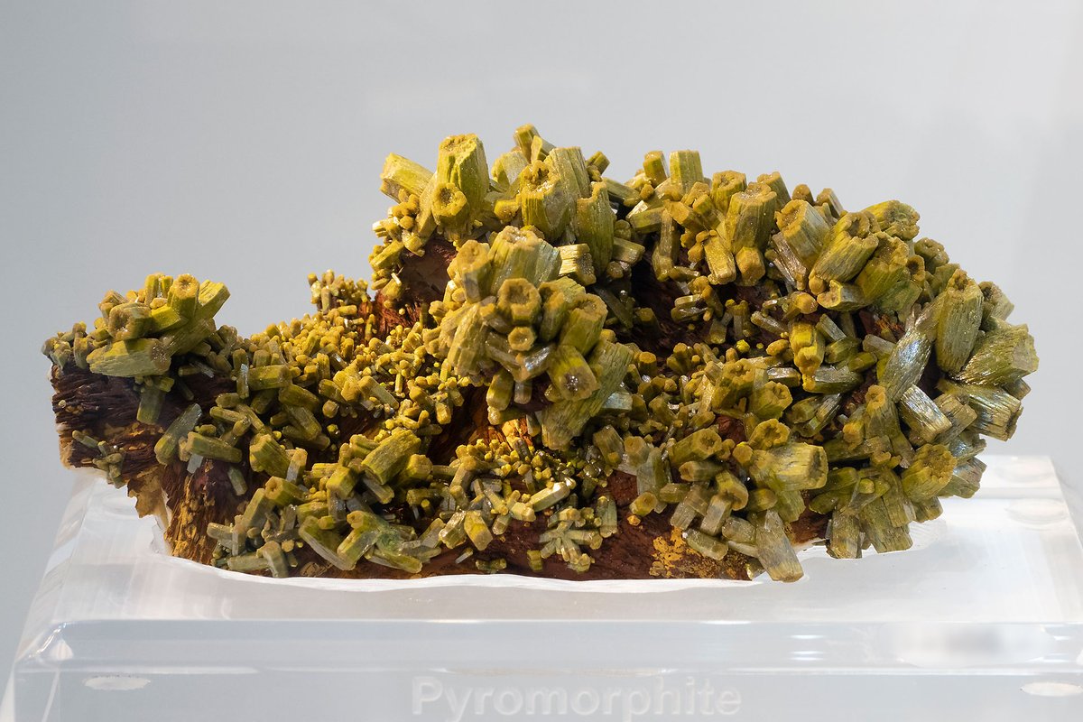 mexporg's tweet photo. Excellent #Pyromorphite cluster from Les Farges Mine, France.
#minerals #crystals #mineralcollecting #mineralexpert #rockhounding #mineralogy https://t.co/KLURiVXduz