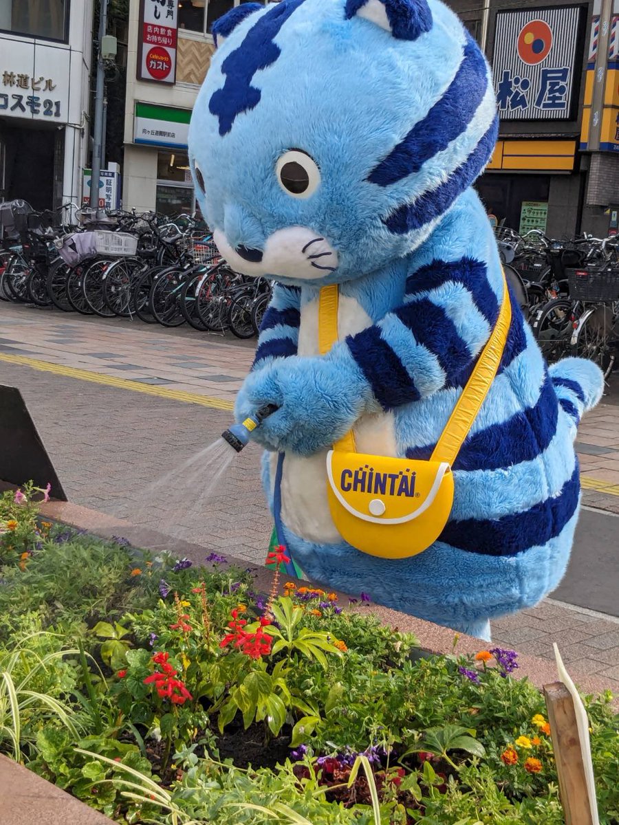 川崎市で実施している「Kawasaki Green Lab. 」のお花の体験会に行っ