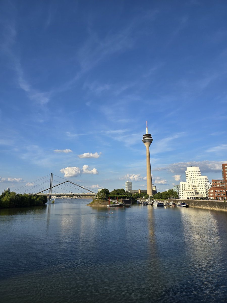 Nico B. 🦁 tweet media