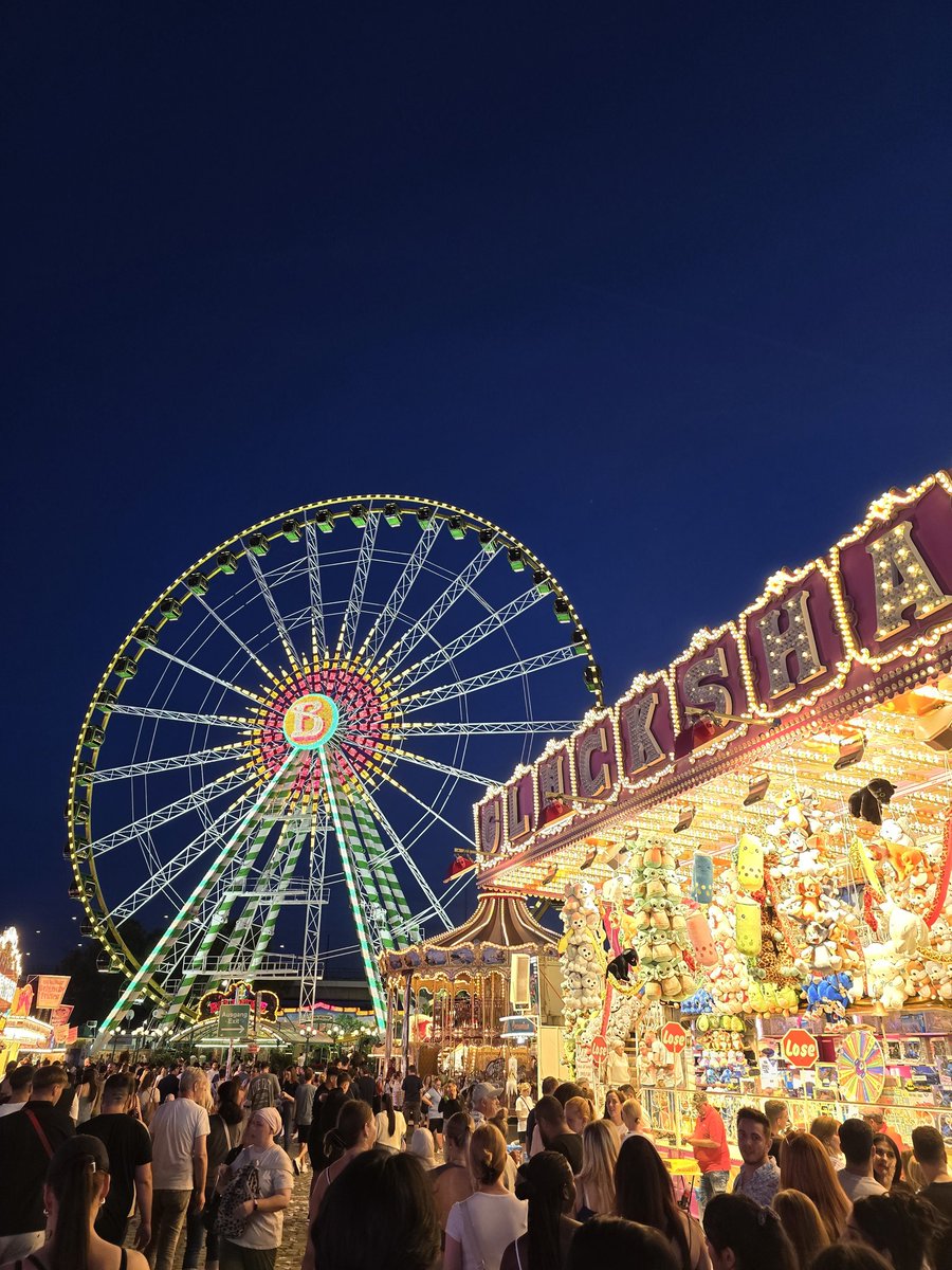 Nico B. 🦁 tweet media