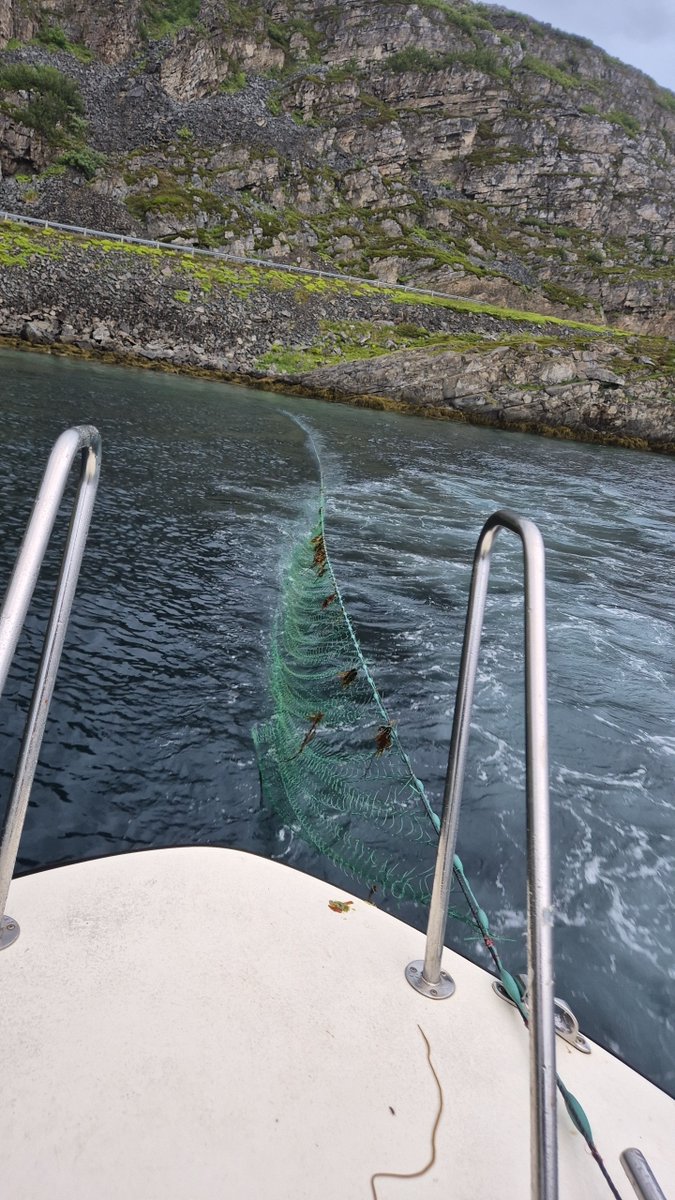 miljodir's tweet photo. SNO Vadsø inndro 12 juli et ulovlig settegarn i Hopsfjorden, #Gamvik kommune. Garnet var ikke merket og stod i overflaten. #Lakseoppsyn https://t.co/sg8yo65rAi
